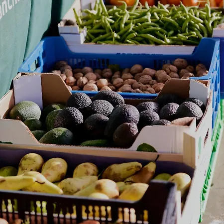 Yasmina * プラヤ・ブランカ